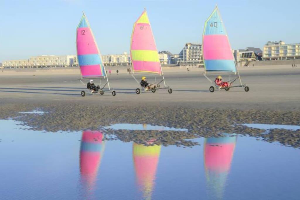 Cozy D'Opale Charmant T1 Bord De Mer Cour Privee Et Clot Wifi 3 Pers Animaux Acceptes Gratuit Appartement Berck Buitenkant foto