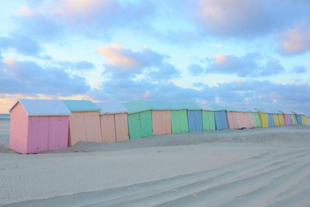 Cozy D'Opale Charmant T1 Bord De Mer Cour Privee Et Clot Wifi 3 Pers Animaux Acceptes Gratuit Appartement Berck Buitenkant foto